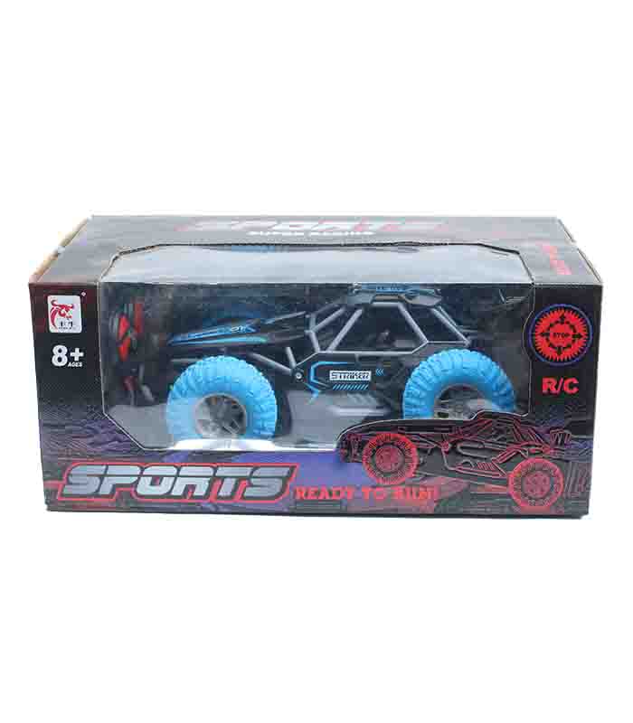 Sports RC Off-Road Buggy