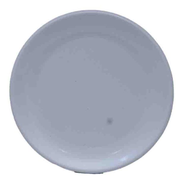 Classic Porcelain Dinner Plate