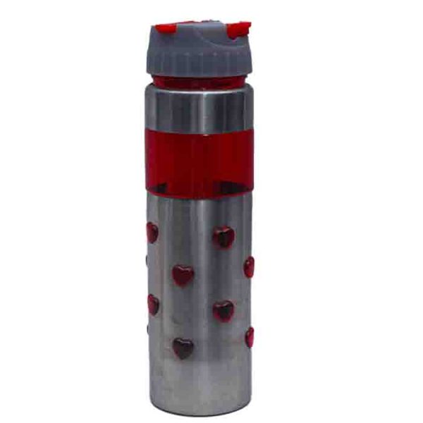 Stainless Steel Water Bottle with Red Hearts