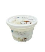 Homies-Coconut-Flavoured-Ice-Cream-480ml.jpg