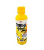 House-of-Juicer-Ginger-Shot-500ml.jpg
