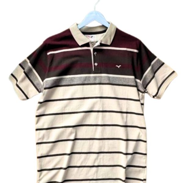 Earth-Tone-Multi-Stripe-Polo-Shirt.jpg